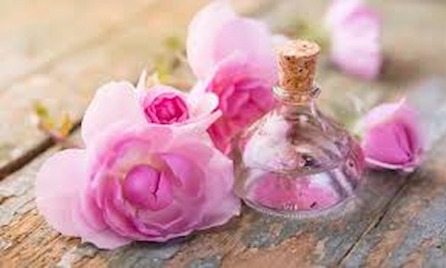 تصویر 4 از اسانس گل محمدی طبیعی + مناسب صنایع غذایی